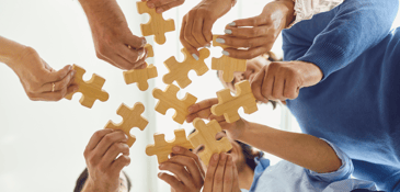 cohort puzzle pieces