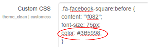 Social Media Icon Custom CSS Colour
