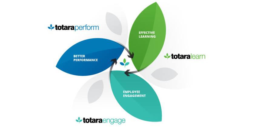 Totara tools diagram - What is totara