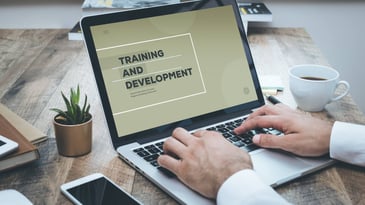What is training and development