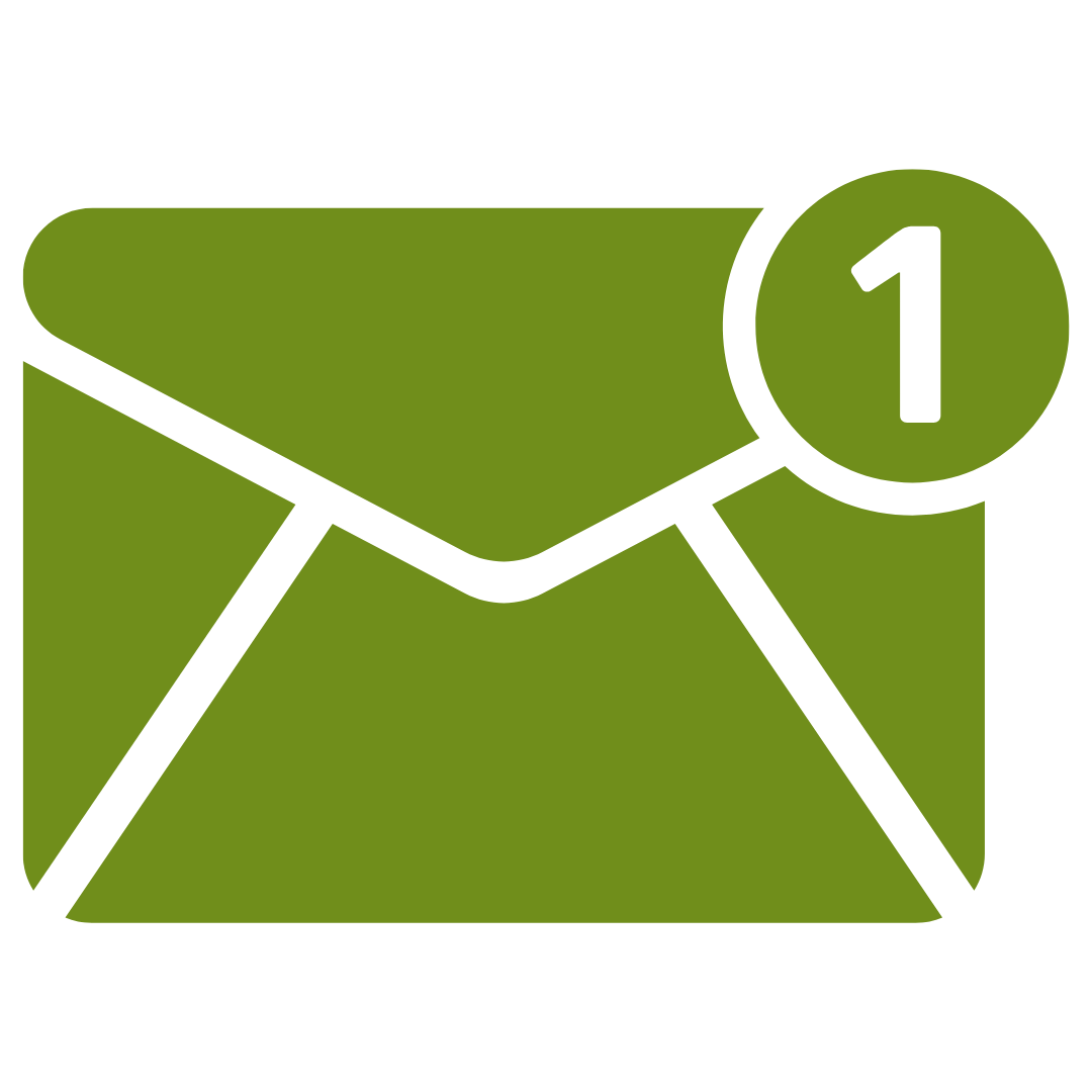 email audit