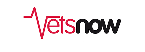VetsNow Moodle users logo 